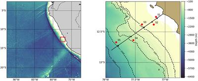 On the Estimation of Zooplankton-Mediated Active Fluxes in Oxygen Minimum Zone Regions